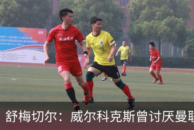 舒梅切尔：威尔科克斯曾讨厌曼联，为何如今却在曼联任职